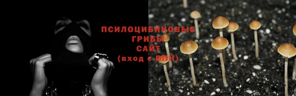 тгк Киренск