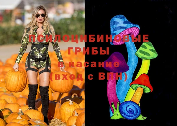 герыч Абаза