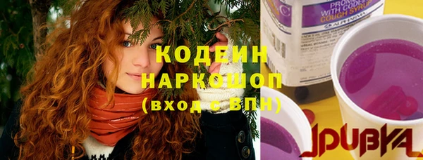 дмт Кинешма