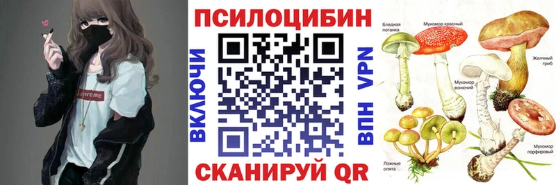 купить   Звенигород  Псилоцибиновые грибы Cubensis 